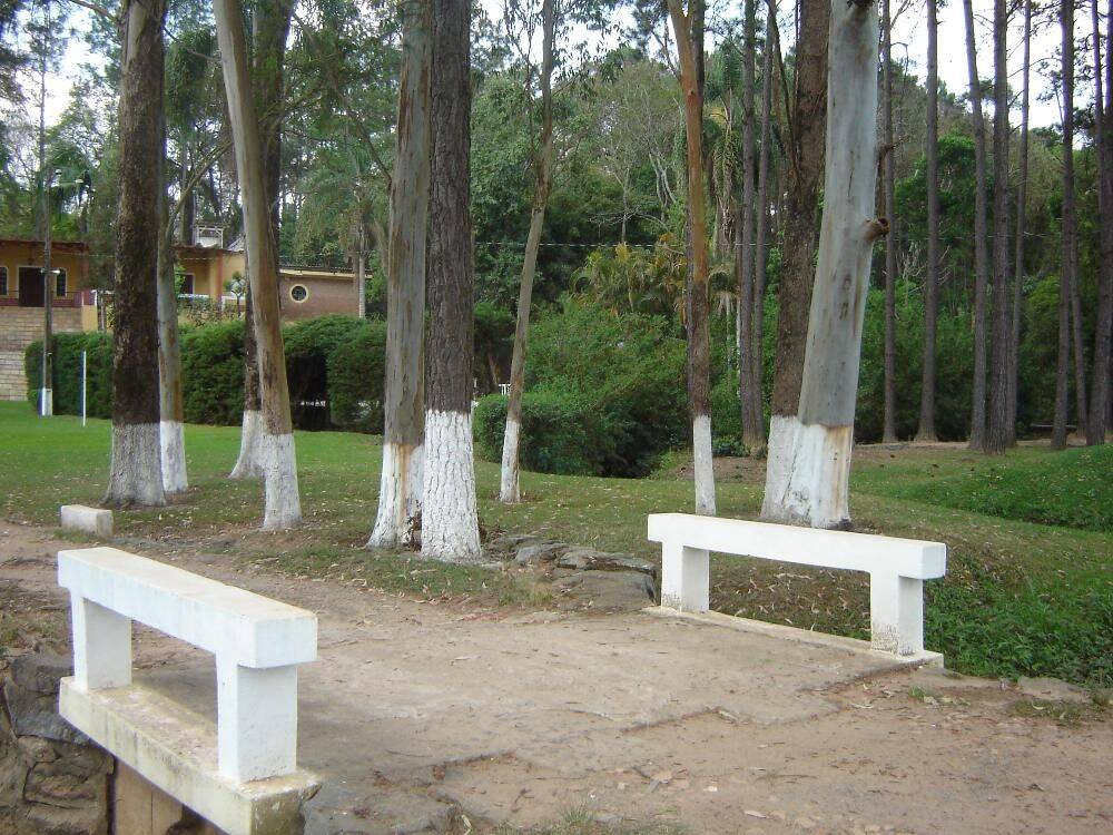 Sítio, 14 quartos, 3 hectares - Foto 28
