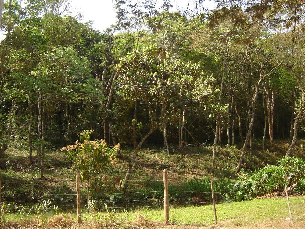 Sítio, 14 quartos, 3 hectares - Foto 33