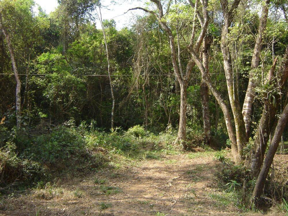 Sítio, 14 quartos, 3 hectares - Foto 34