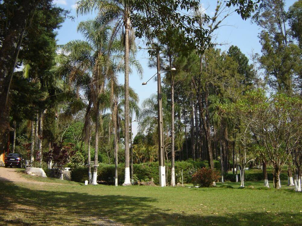 Sítio, 14 quartos, 3 hectares - Foto 35