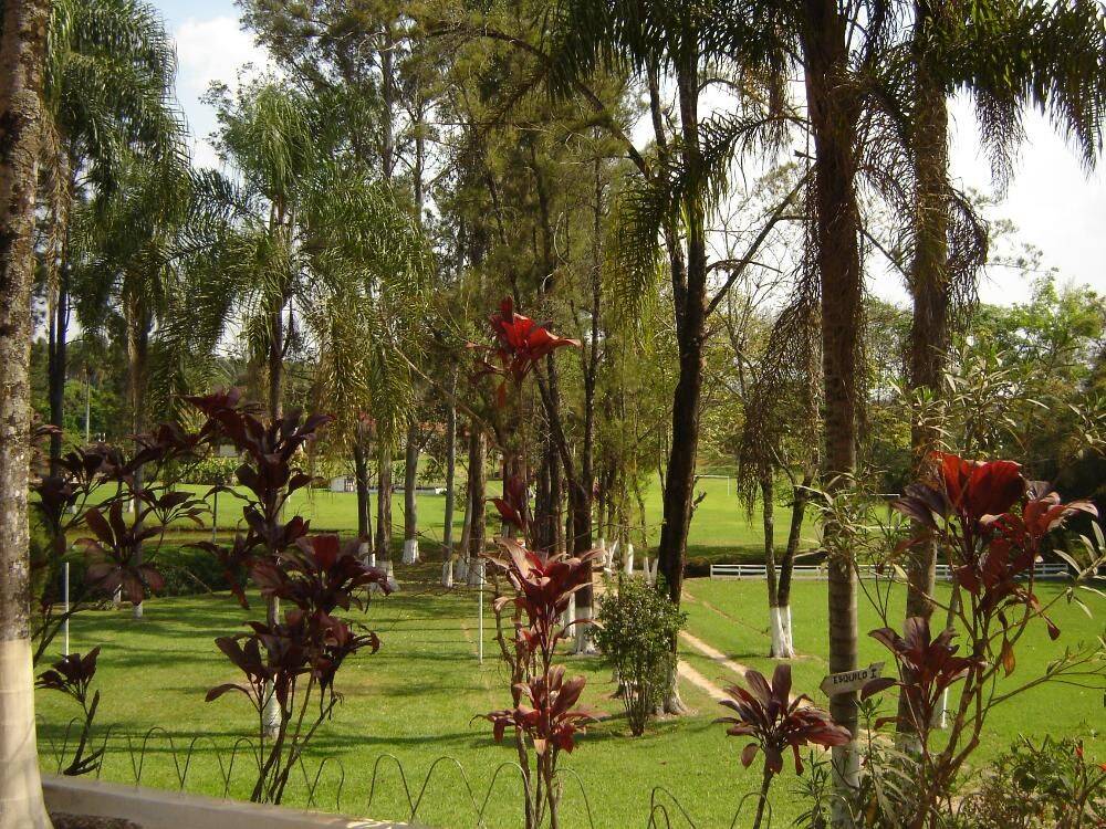 Sítio, 14 quartos, 3 hectares - Foto 36