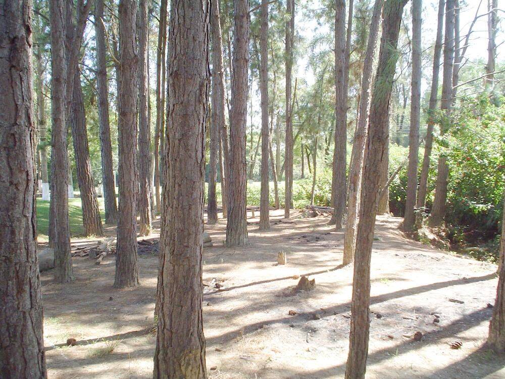 Sítio, 14 quartos, 3 hectares - Foto 37