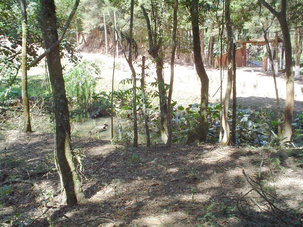 Sítio, 14 quartos, 3 hectares - Foto 43