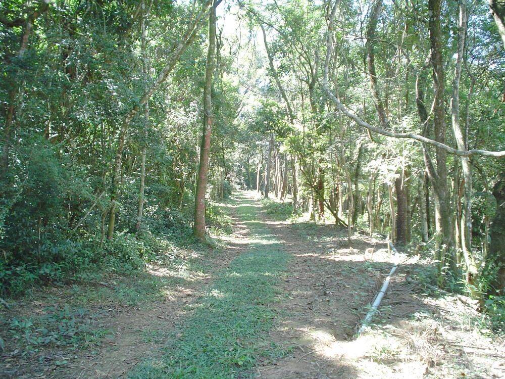 Sítio, 14 quartos, 3 hectares - Foto 44