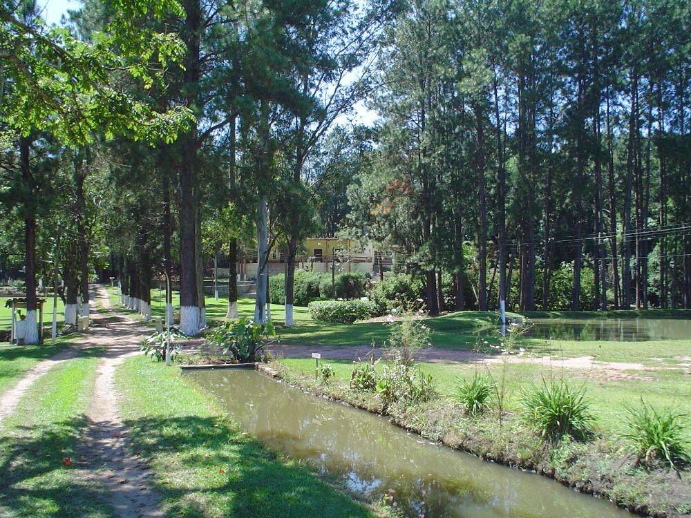 Sítio, 14 quartos, 3 hectares - Foto 52