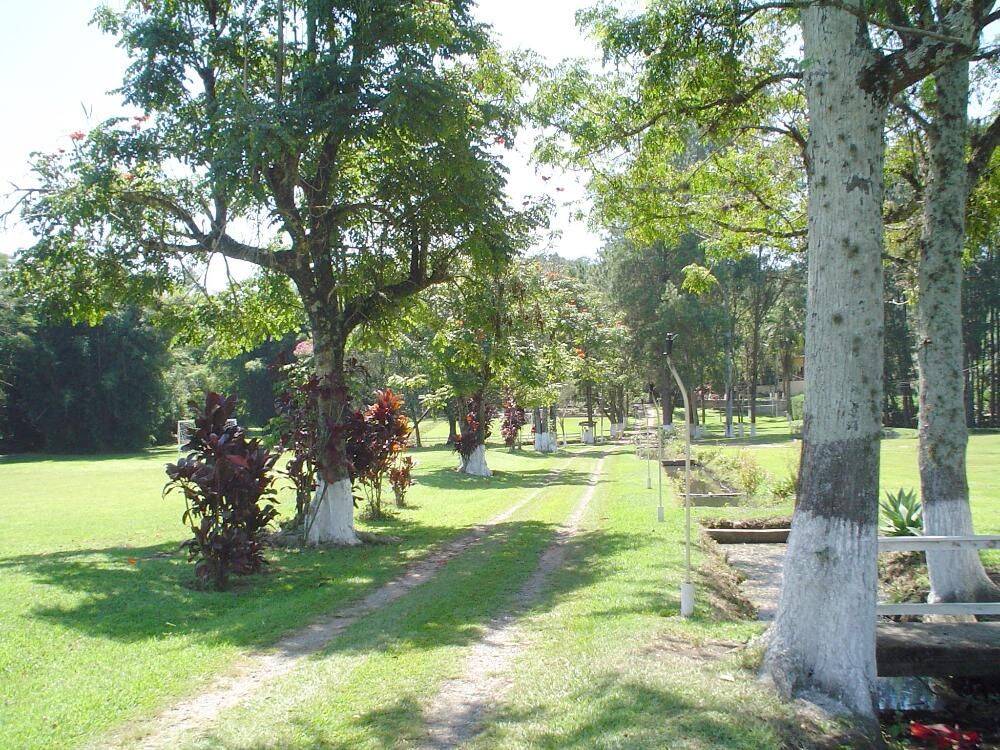 Sítio, 14 quartos, 3 hectares - Foto 54