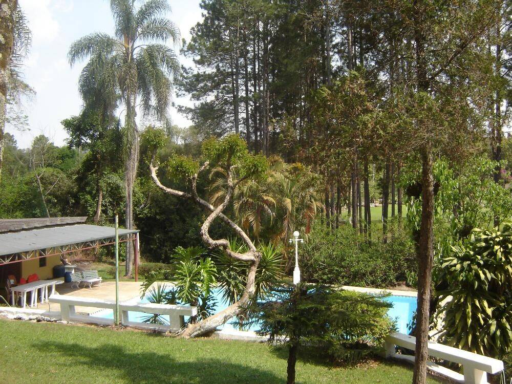 Sítio, 14 quartos, 3 hectares - Foto 55
