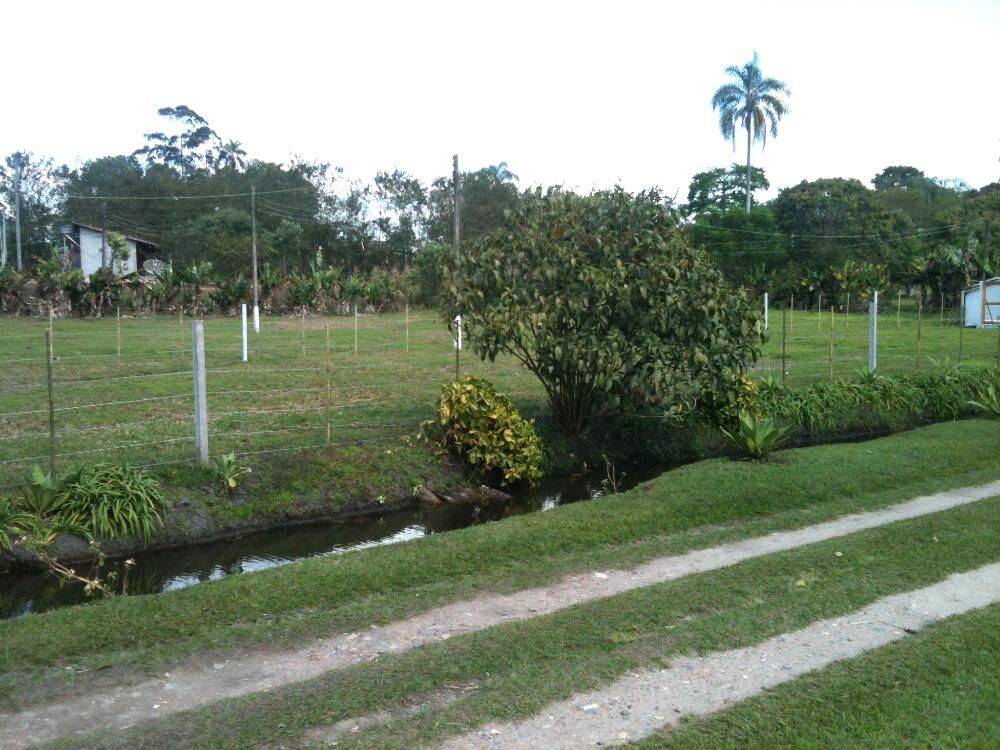 Sítio, 14 quartos, 3 hectares - Foto 57