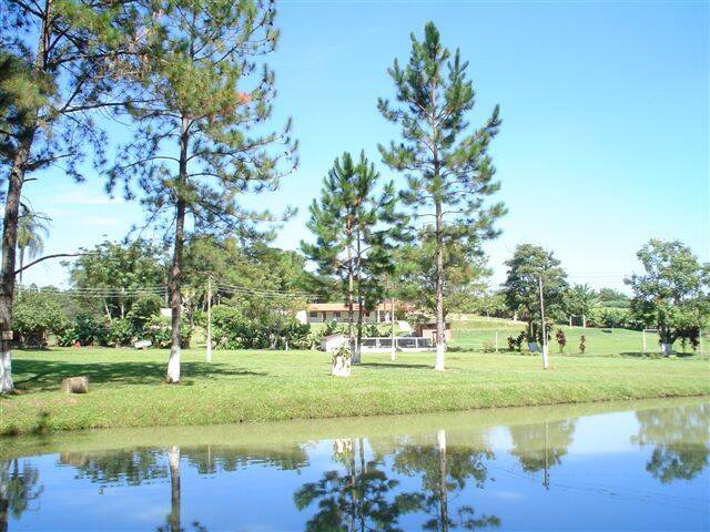 Sítio, 14 quartos, 3 hectares - Foto 100