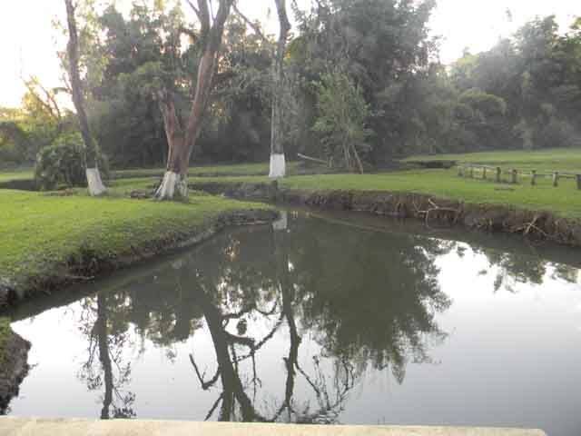 Sítio, 14 quartos, 3 hectares - Foto 104