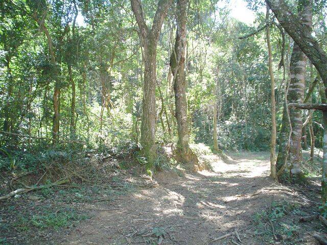 Sítio, 14 quartos, 3 hectares - Foto 117