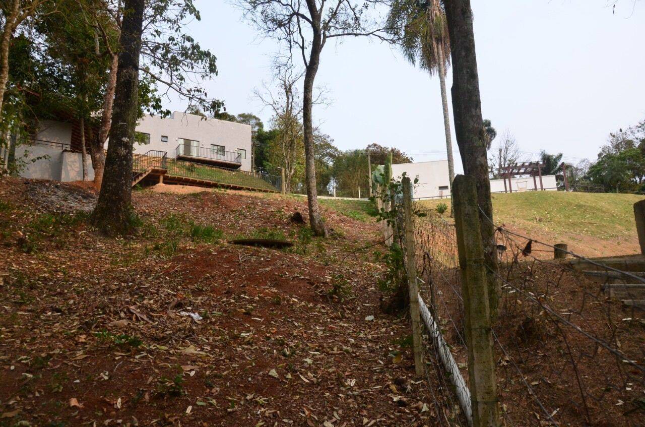 Chácara, 3 quartos, 880 m² - Foto 9