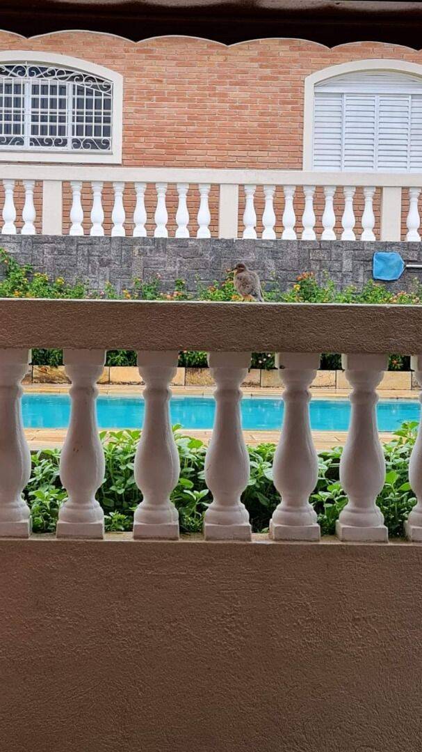 Chácara, 3 quartos, 800 m² - Foto 3