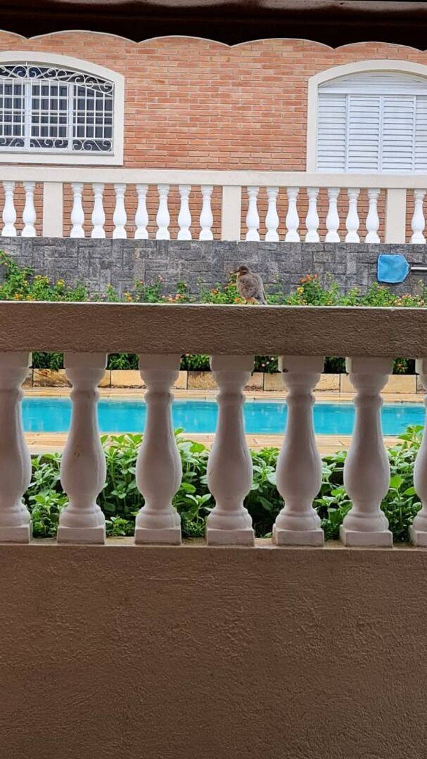 Chácara, 3 quartos, 800 m² - Foto 5