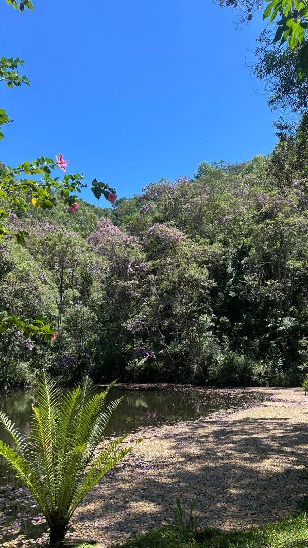 Chácara, 3 quartos, 2000 m² - Foto 14