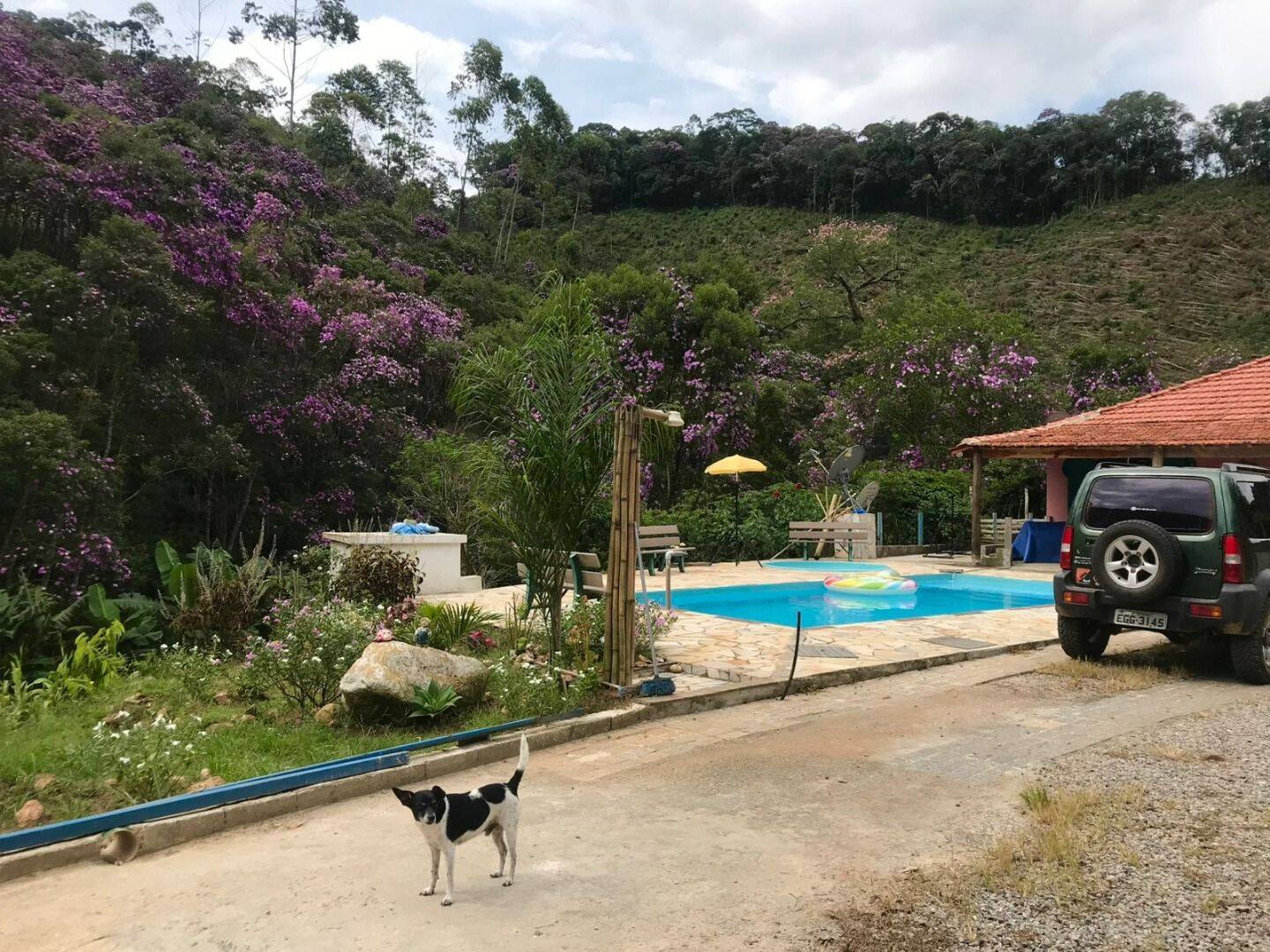 Chácara, 3 quartos, 2000 m² - Foto 19