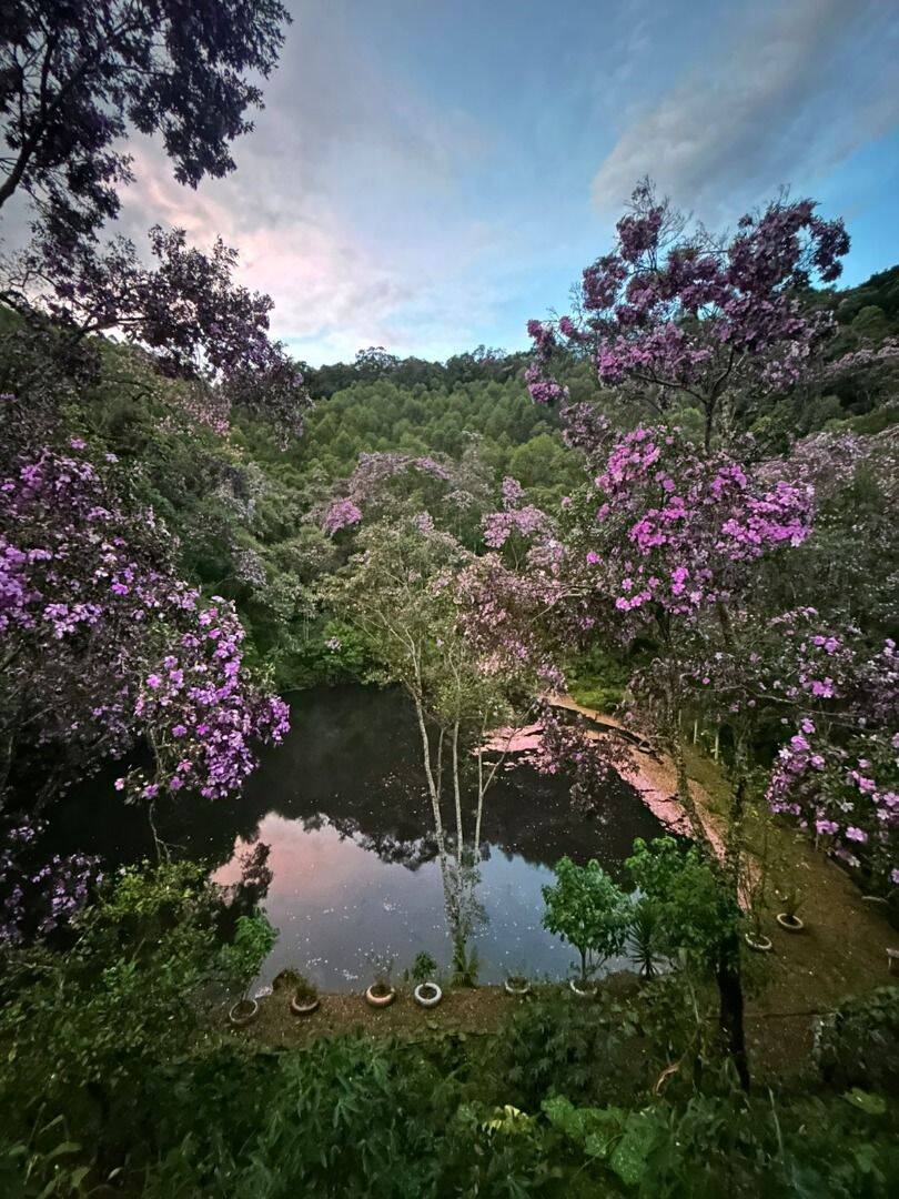 Chácara, 3 quartos, 2000 m² - Foto 21