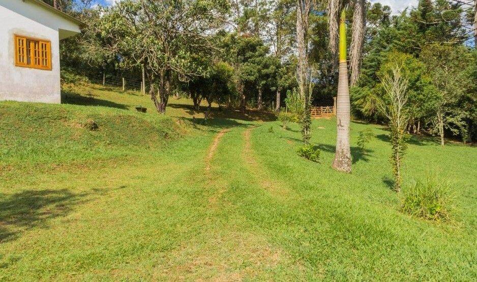 Sítio, 7 quartos, 3 hectares - Foto 12