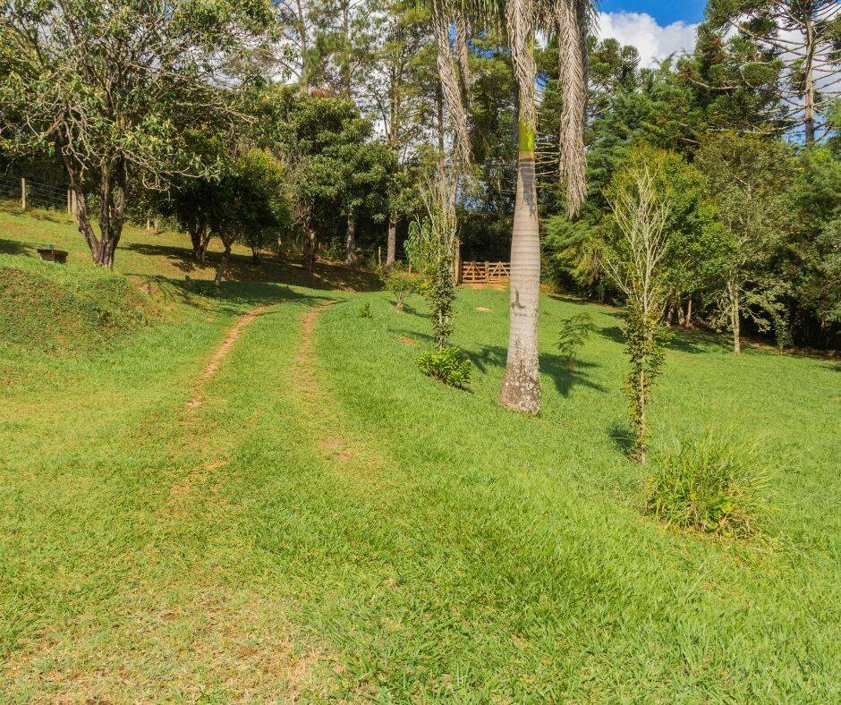 Sítio, 7 quartos, 3 hectares - Foto 13