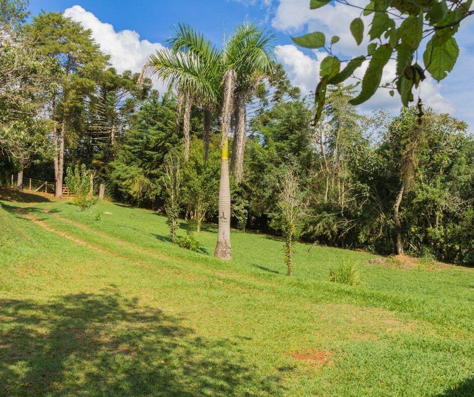 Sítio, 7 quartos, 3 hectares - Foto 14