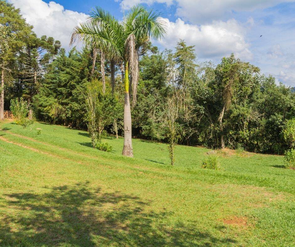 Sítio, 7 quartos, 3 hectares - Foto 15