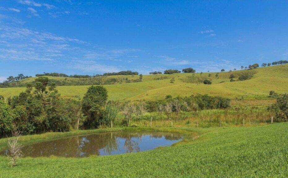 Sítio, 7 quartos, 3 hectares - Foto 29