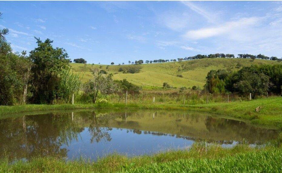 Sítio, 7 quartos, 3 hectares - Foto 31