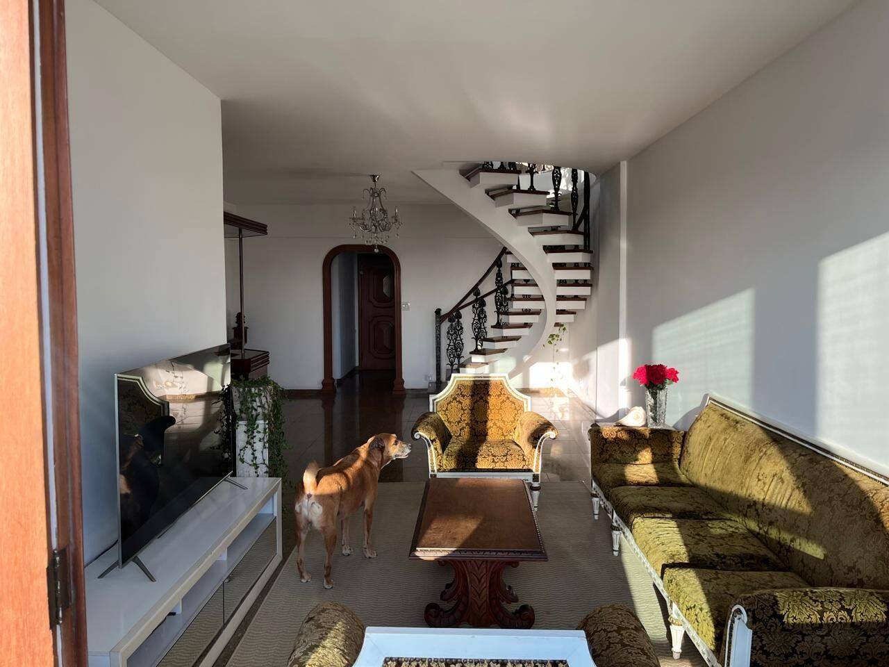 Cobertura, 4 quartos, 361 m² - Foto 24