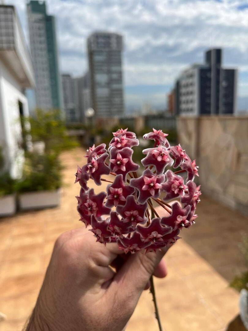 Cobertura, 4 quartos, 361 m² - Foto 49