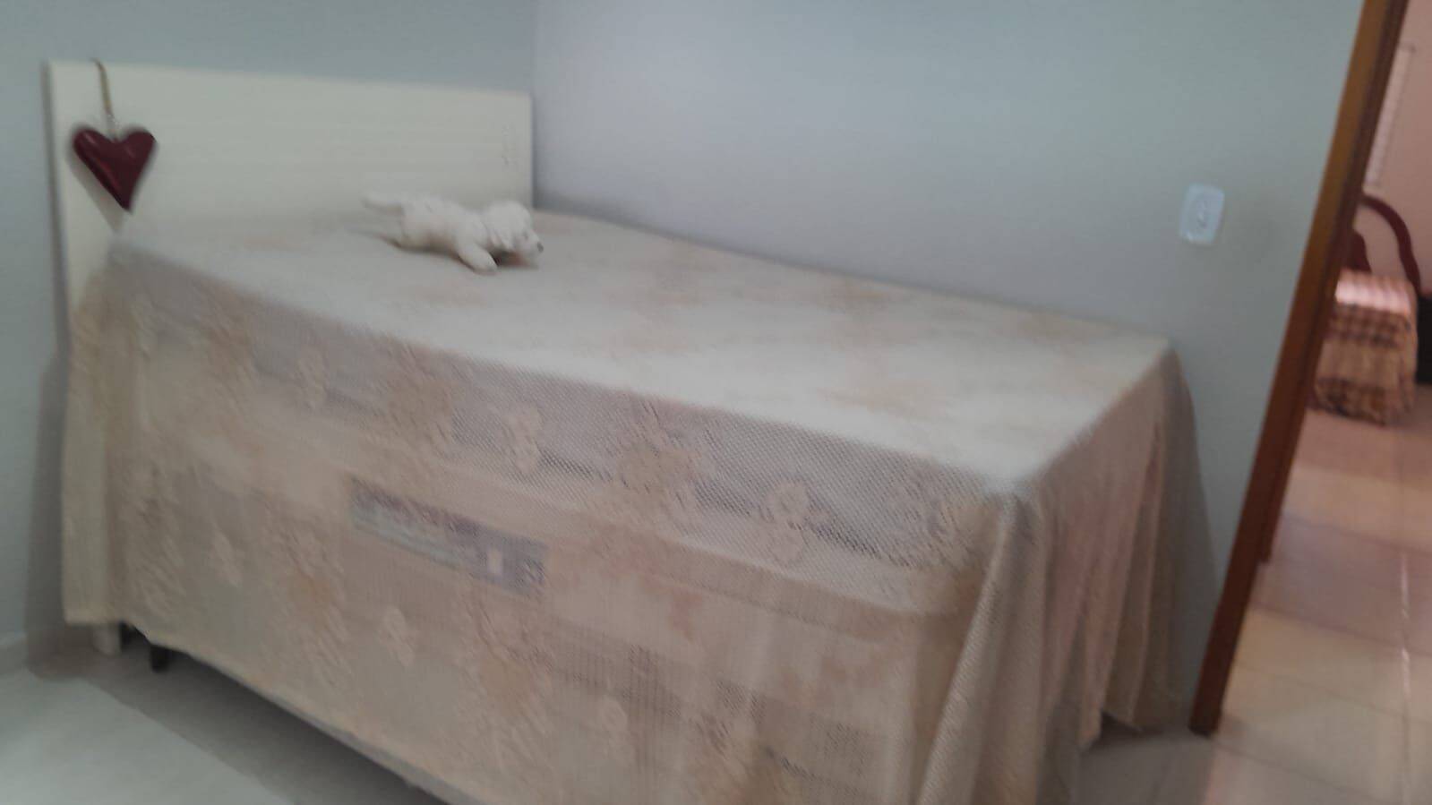 Casa, 2 quartos, 60 m² - Foto 6