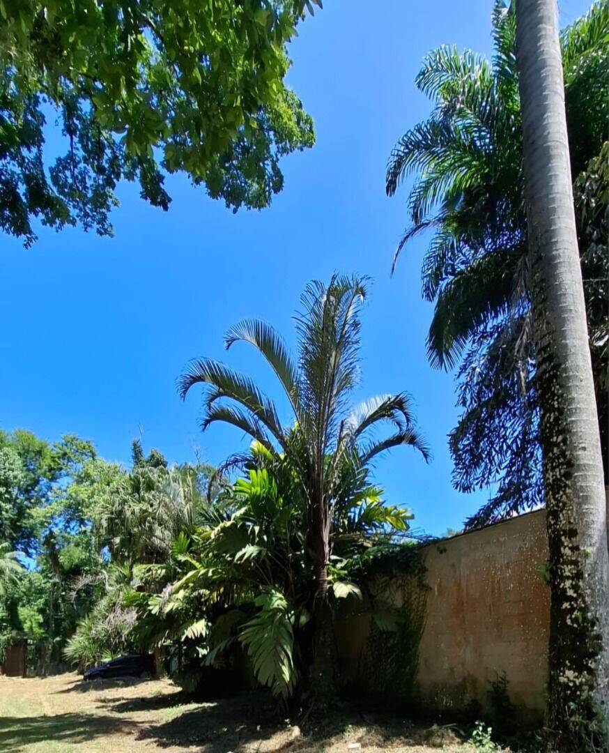 Terreno, 500 m² - Foto 10