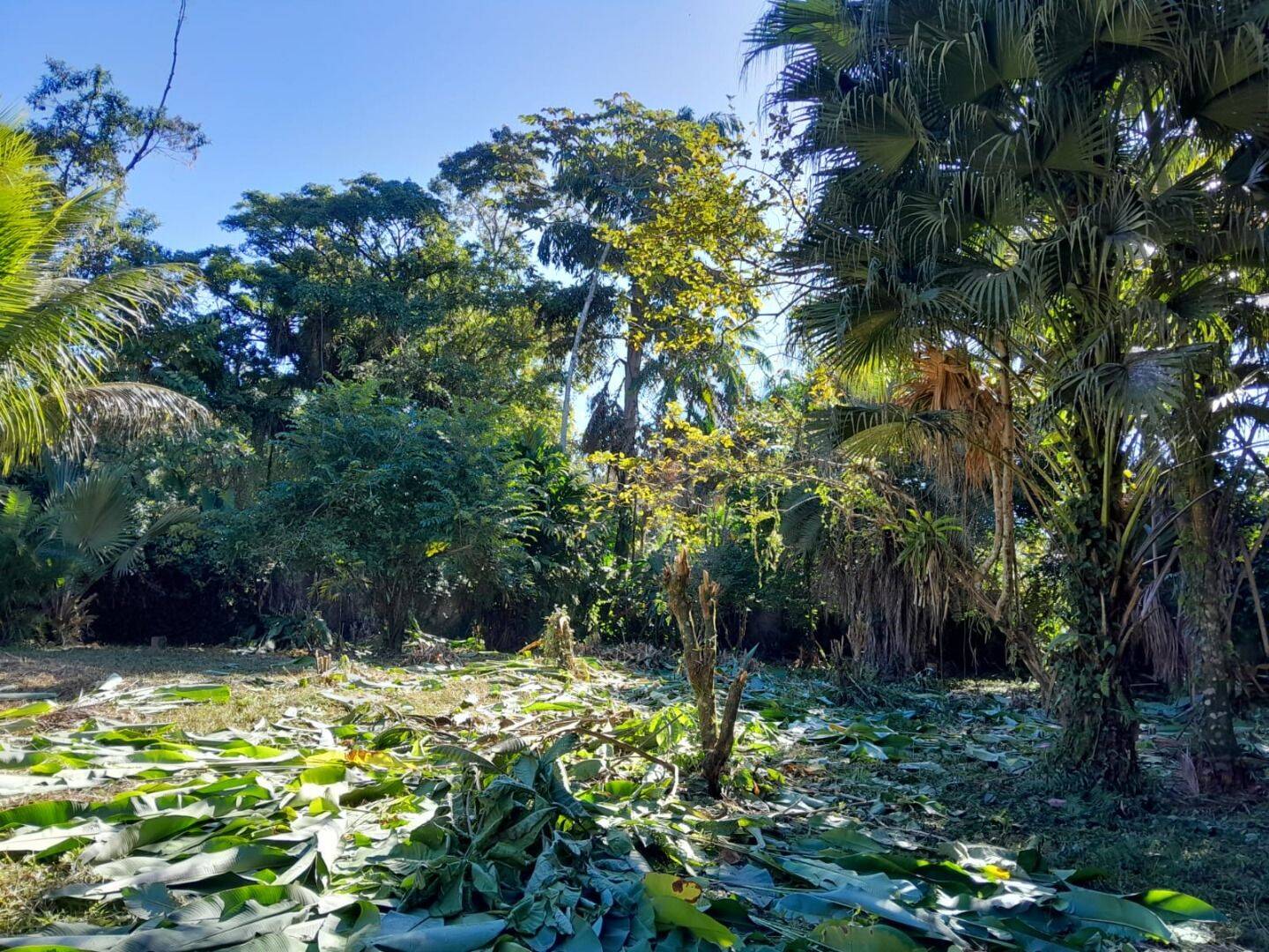 Terreno, 500 m² - Foto 14