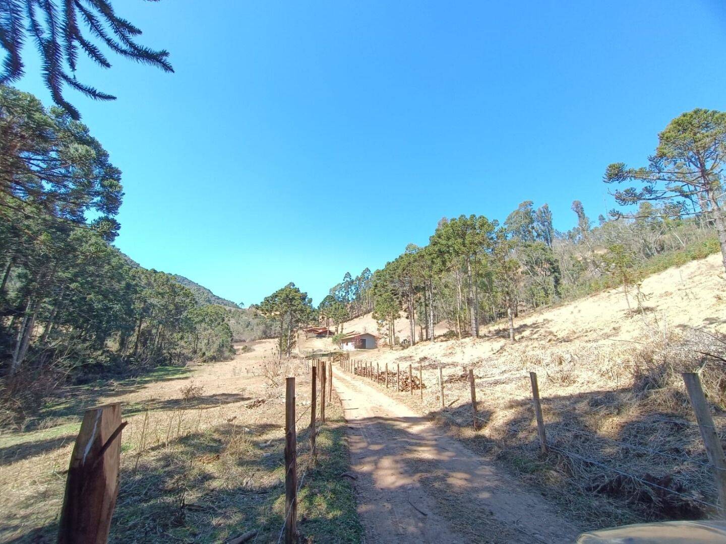 Sítio, 5 quartos, 13 hectares - Foto 4