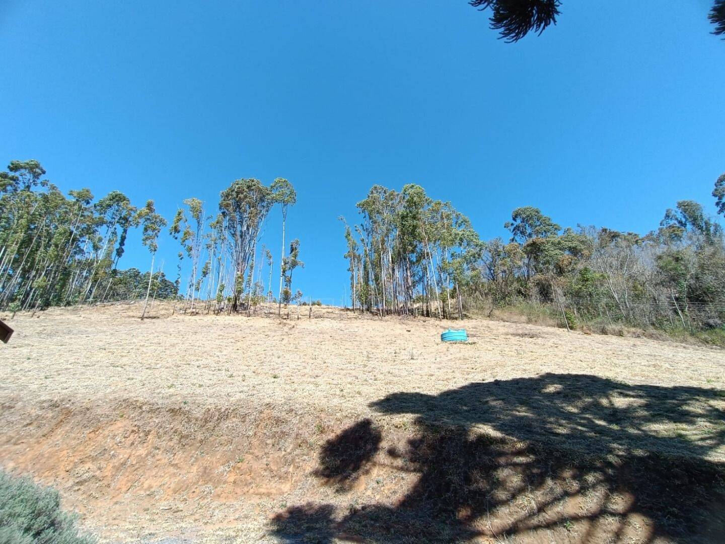 Sítio, 5 quartos, 13 hectares - Foto 10