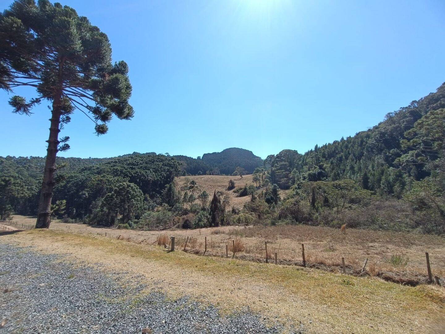 Sítio, 5 quartos, 13 hectares - Foto 11