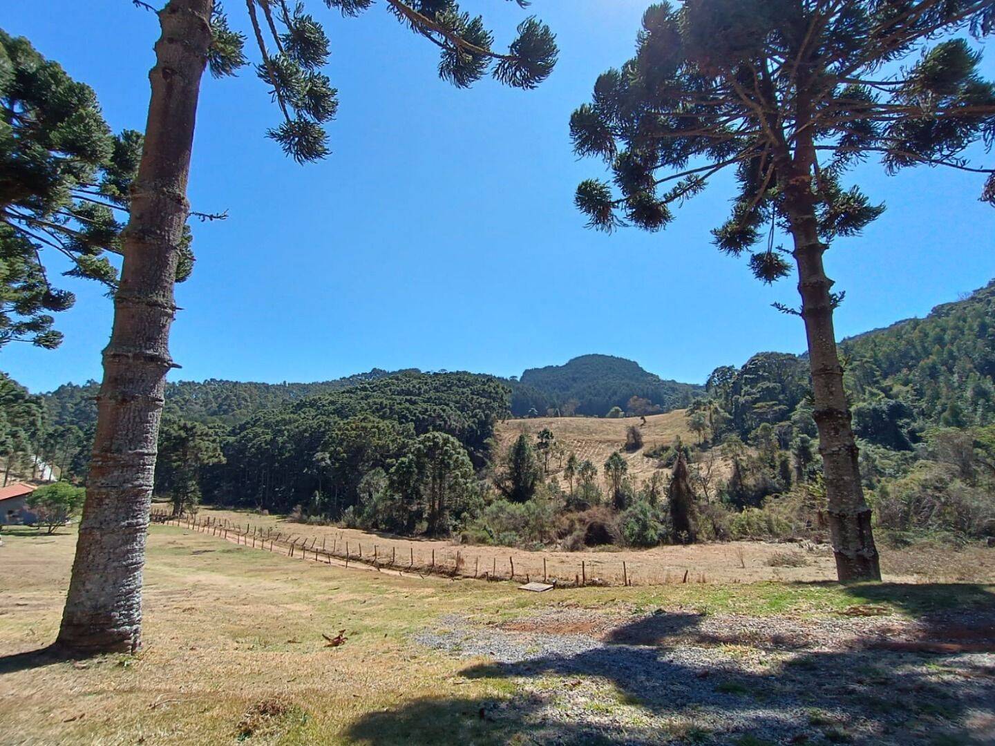 Sítio, 5 quartos, 13 hectares - Foto 15