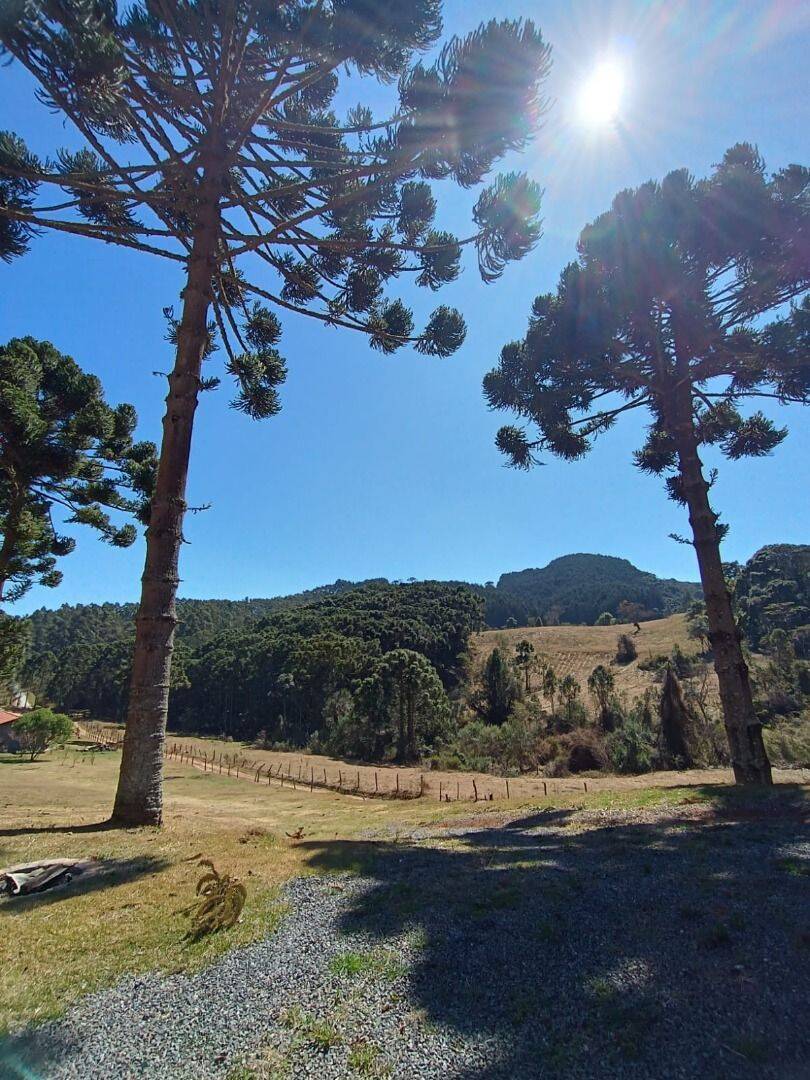 Sítio, 5 quartos, 13 hectares - Foto 18