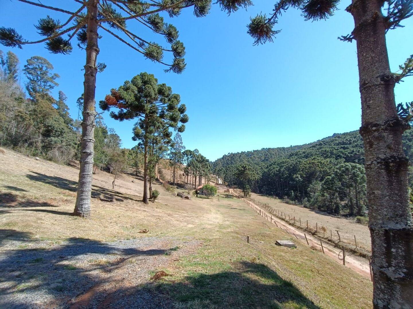 Sítio, 5 quartos, 13 hectares - Foto 19