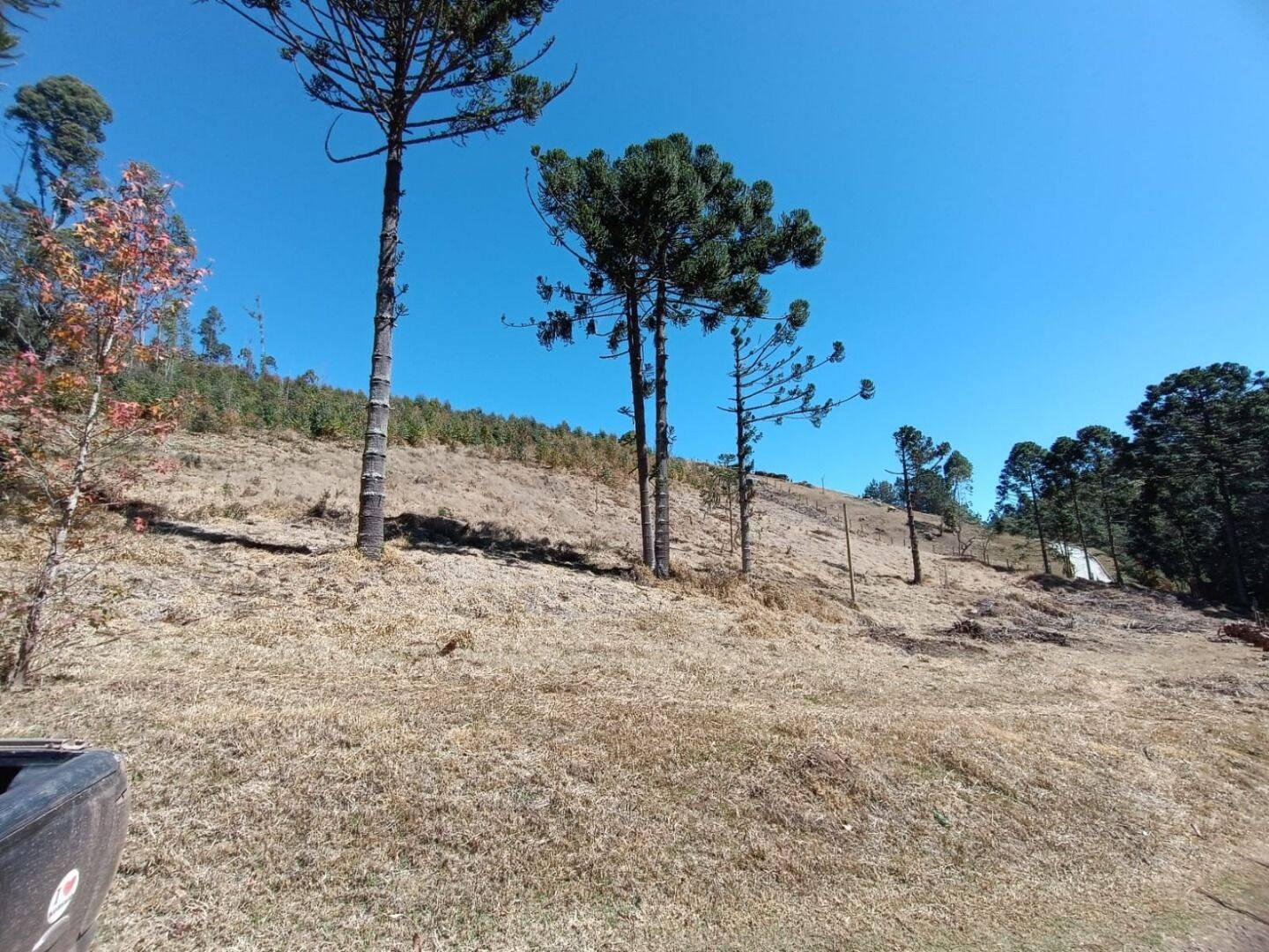 Sítio, 5 quartos, 13 hectares - Foto 21