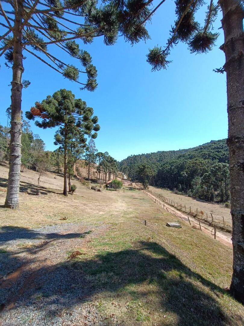 Sítio, 5 quartos, 13 hectares - Foto 22