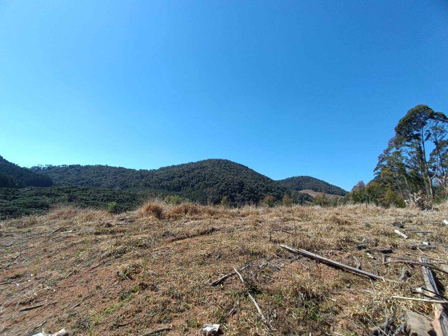 Sítio, 5 quartos, 13 hectares - Foto 23
