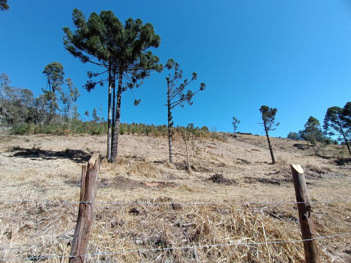 Sítio, 5 quartos, 13 hectares - Foto 30