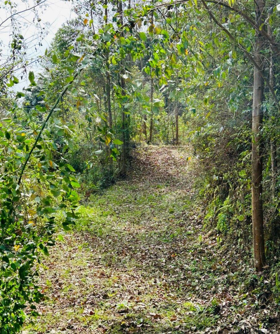 Sítio, 5 quartos, 13 hectares - Foto 44