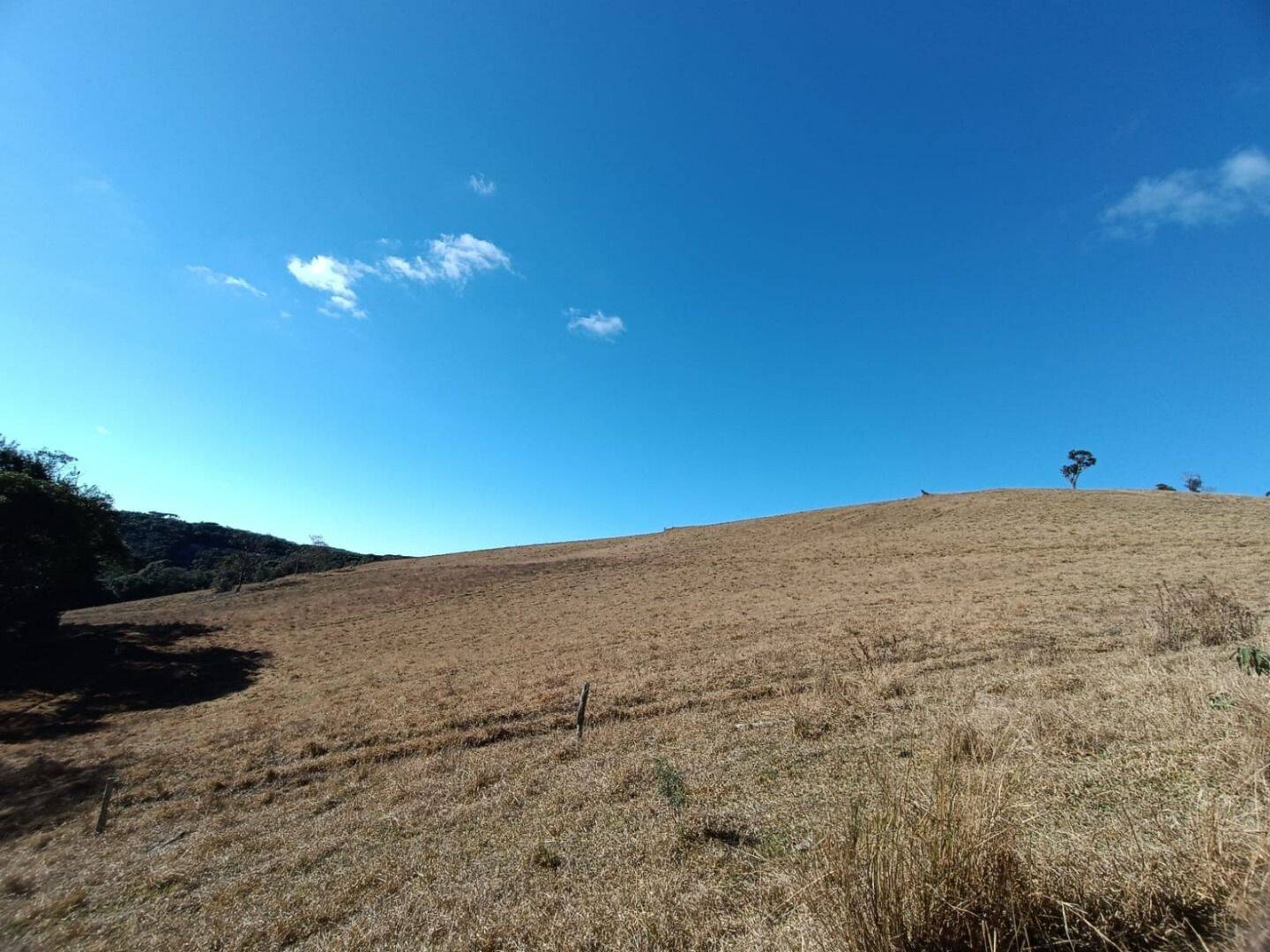 Prédio Inteiro - Foto 6
