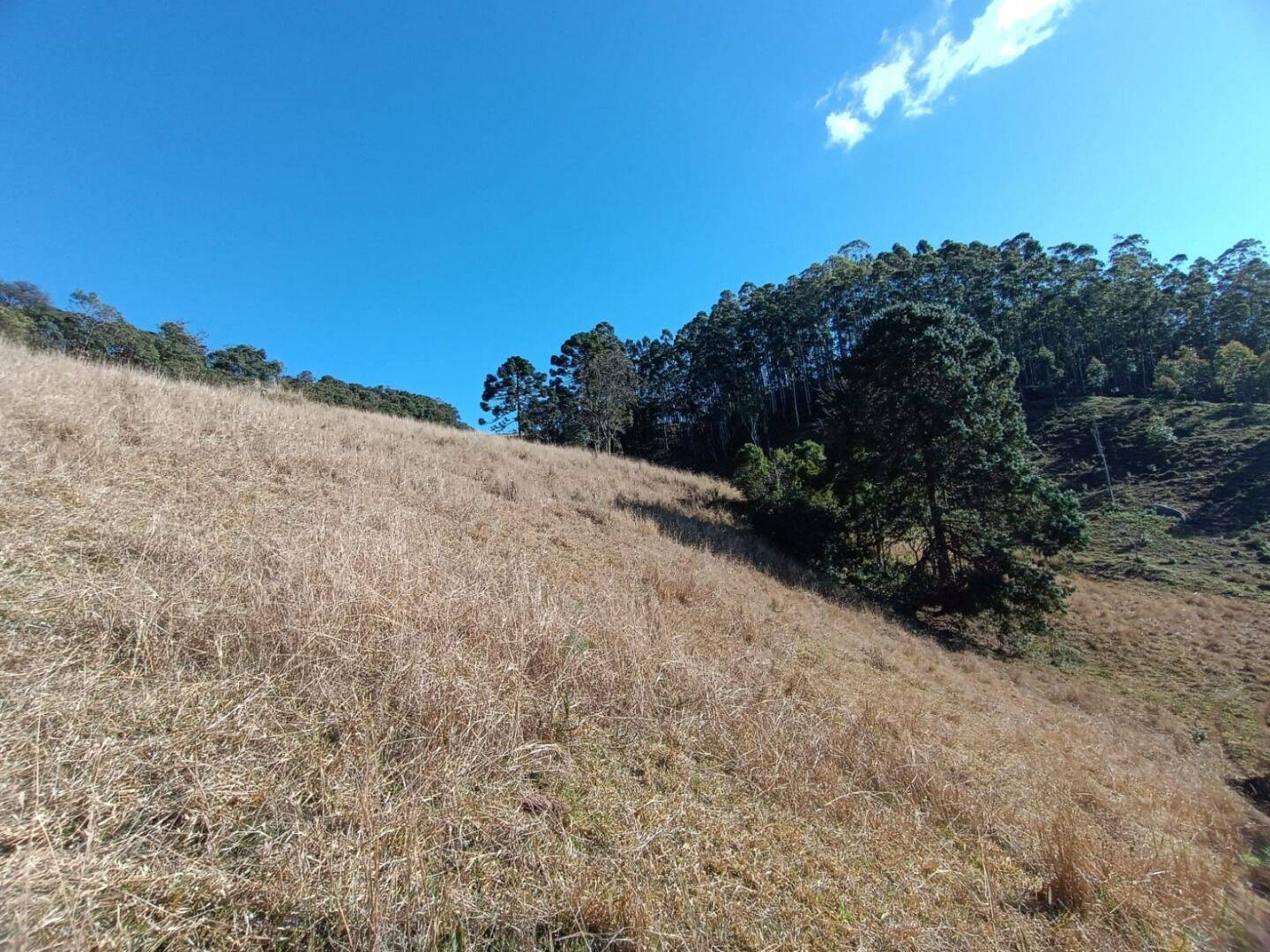 Prédio Inteiro - Foto 9