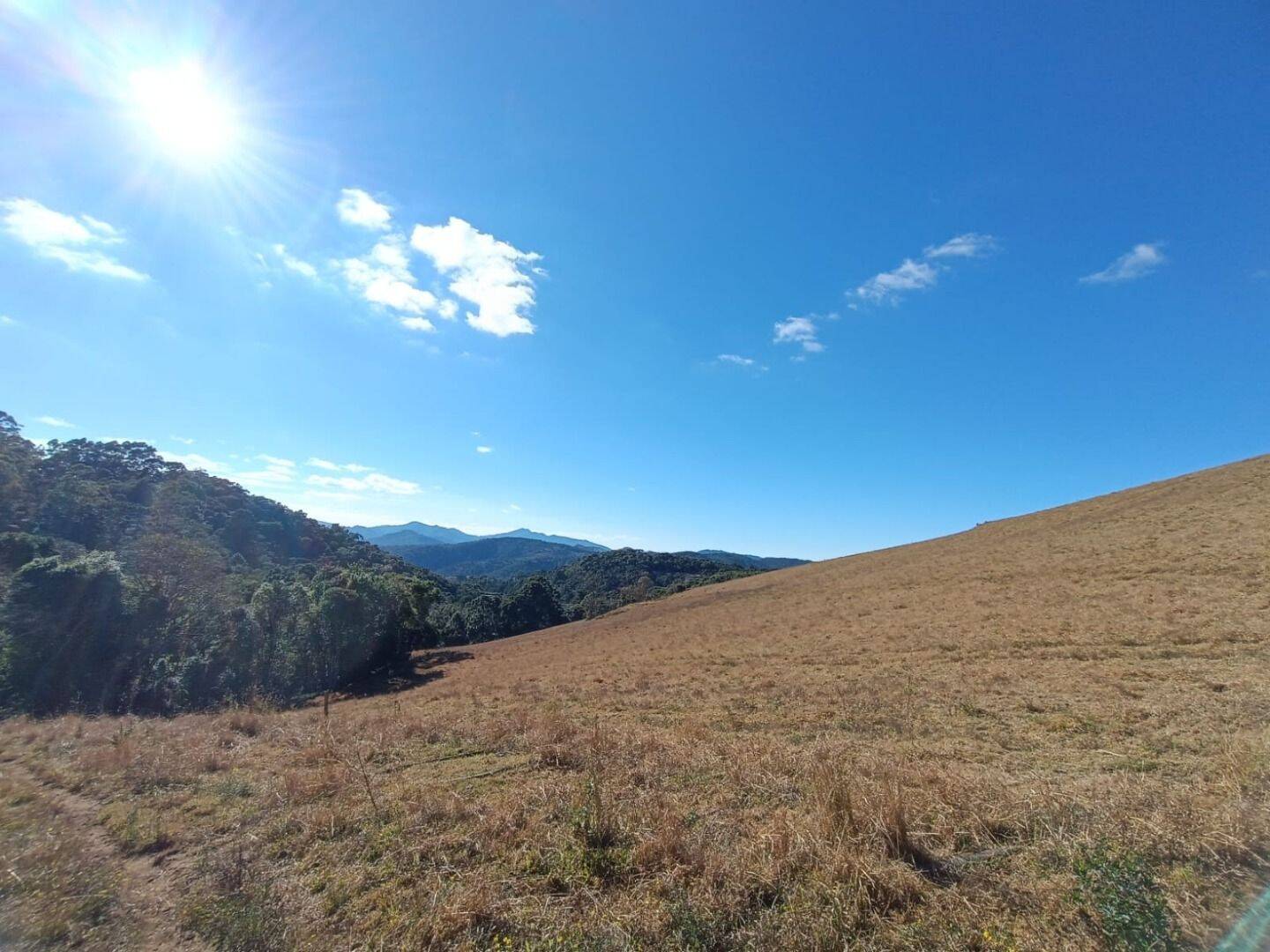 Prédio Inteiro - Foto 11