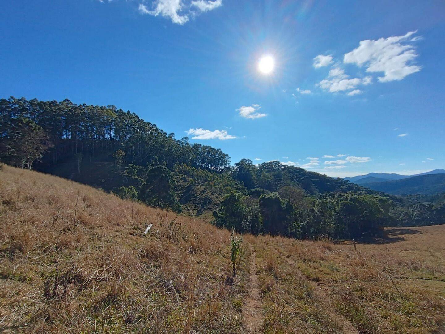 Prédio Inteiro - Foto 12