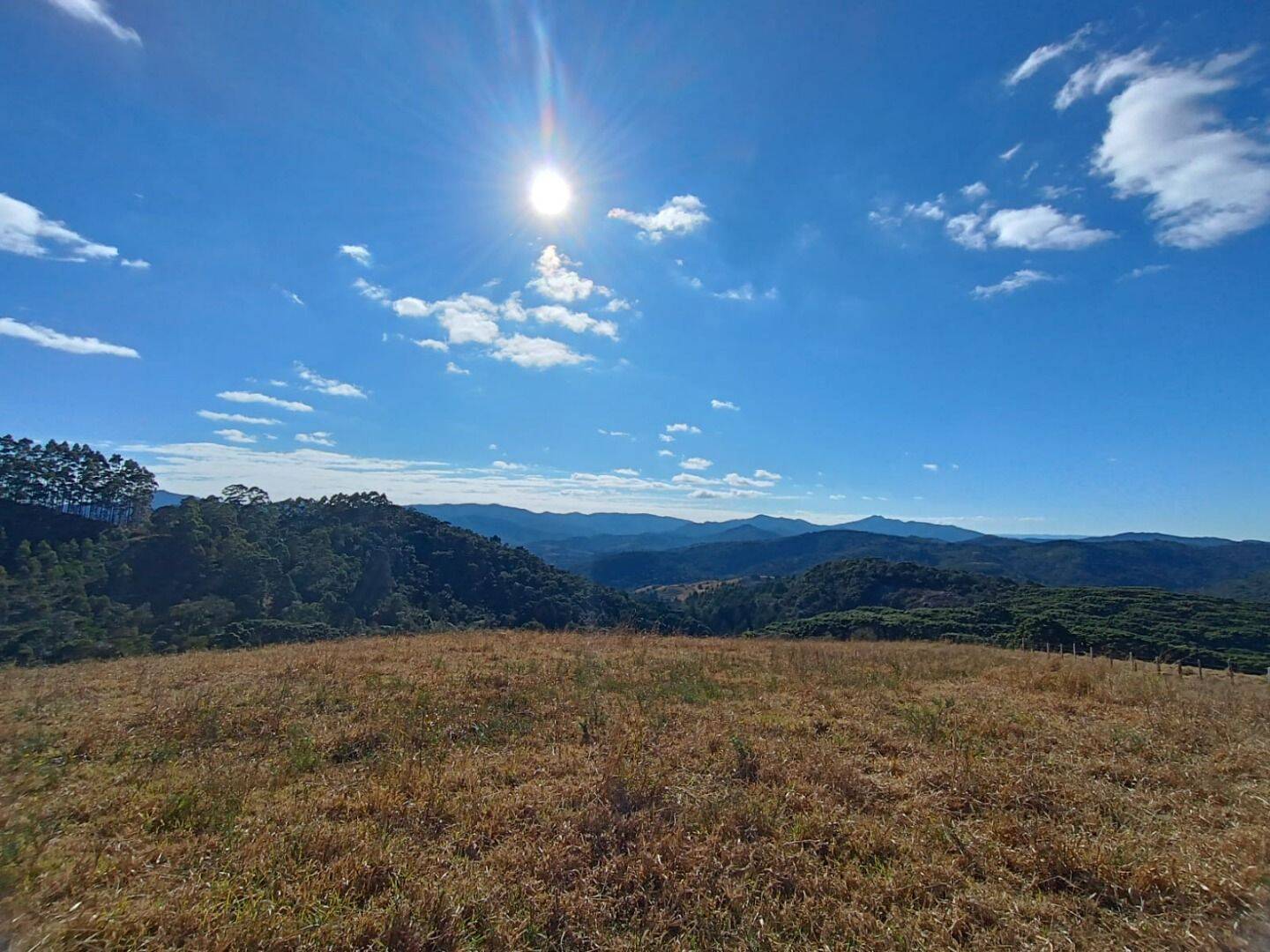 Prédio Inteiro - Foto 15