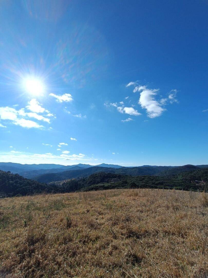 Prédio Inteiro - Foto 19