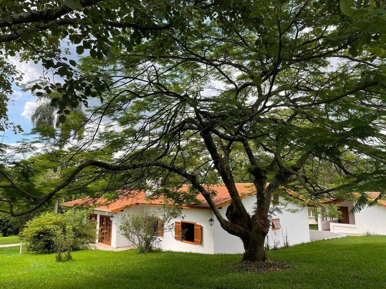 Fazenda, 48 hectares - Foto 7